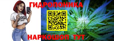 экстази Можга